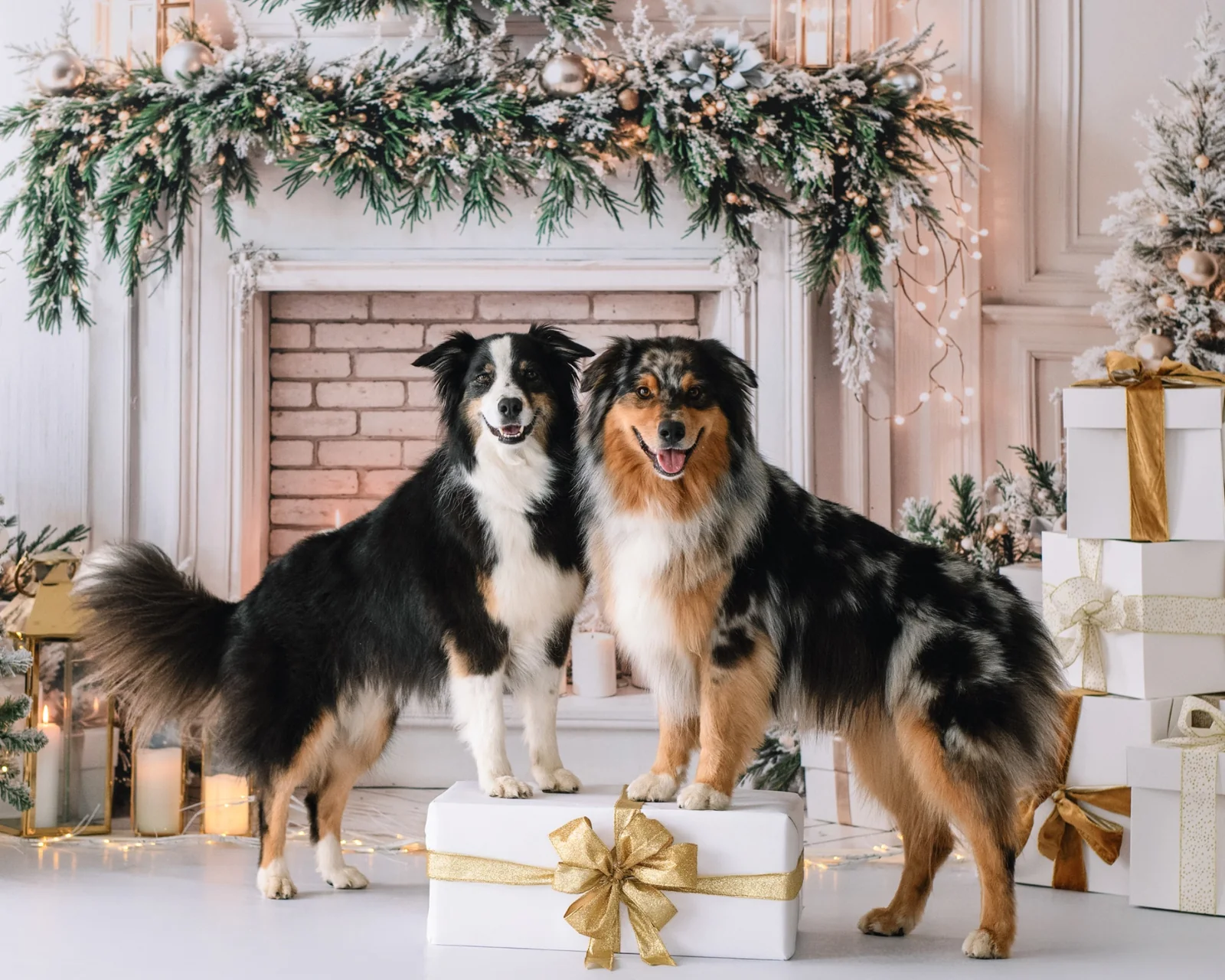 Three teddy bears sitting together beside Christmas gifts.