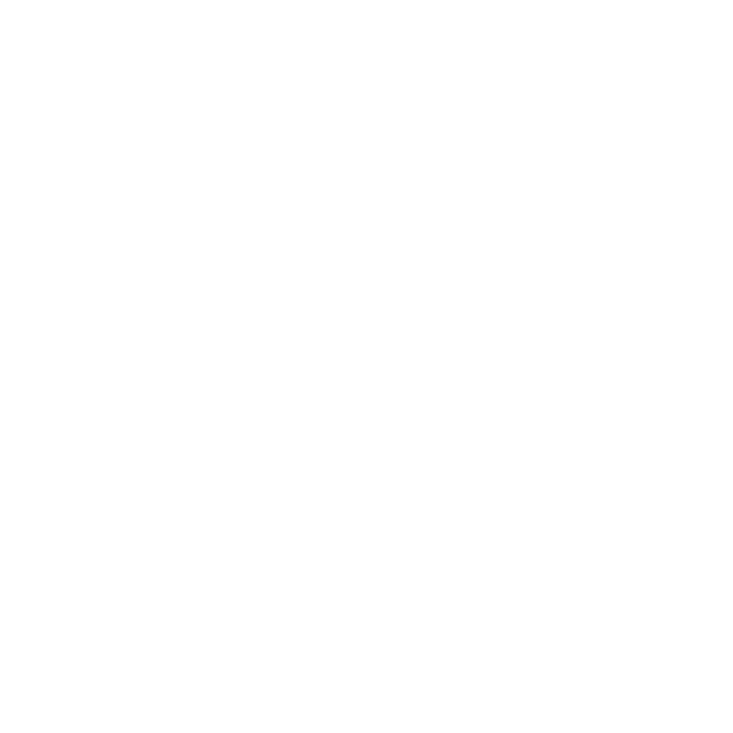 The Roxx Group Logo