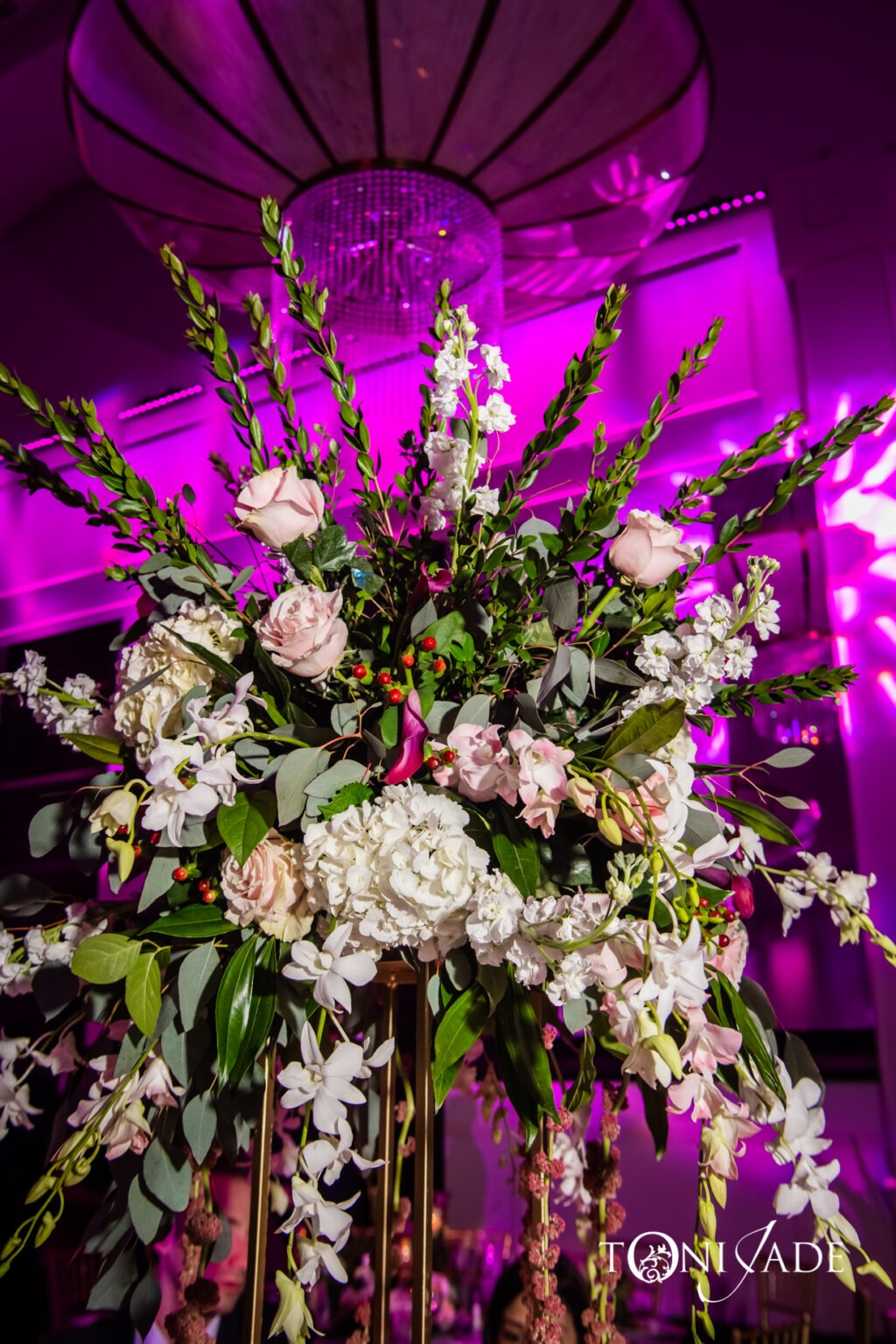 Ceremony aisle lined with white florals beneath a draped four-post canopy