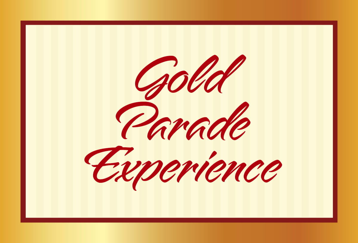 <h3>VIP Parade <br>Experience</h3>