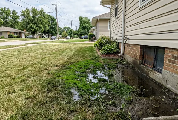 wet yard with standing water indicating possible underground water line leak