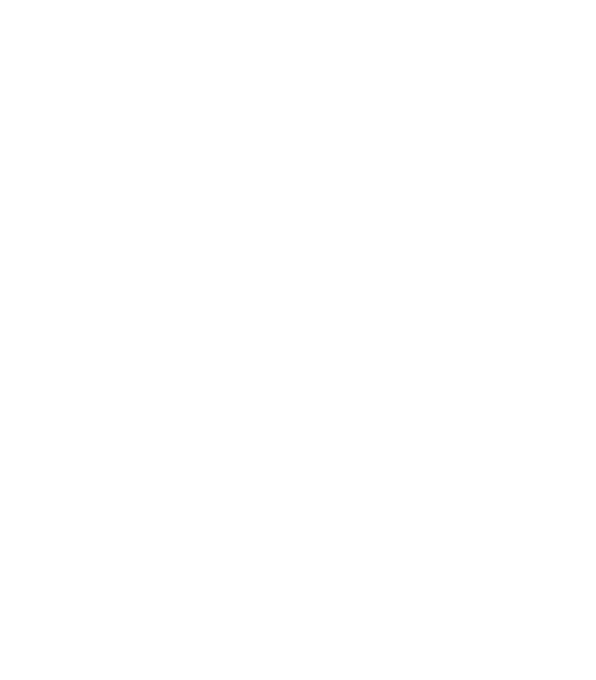 Accessibility Icon