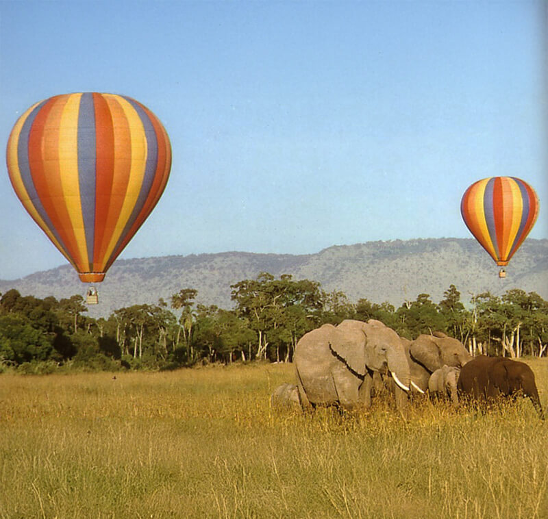 Hot Air Balloon over the Mara
