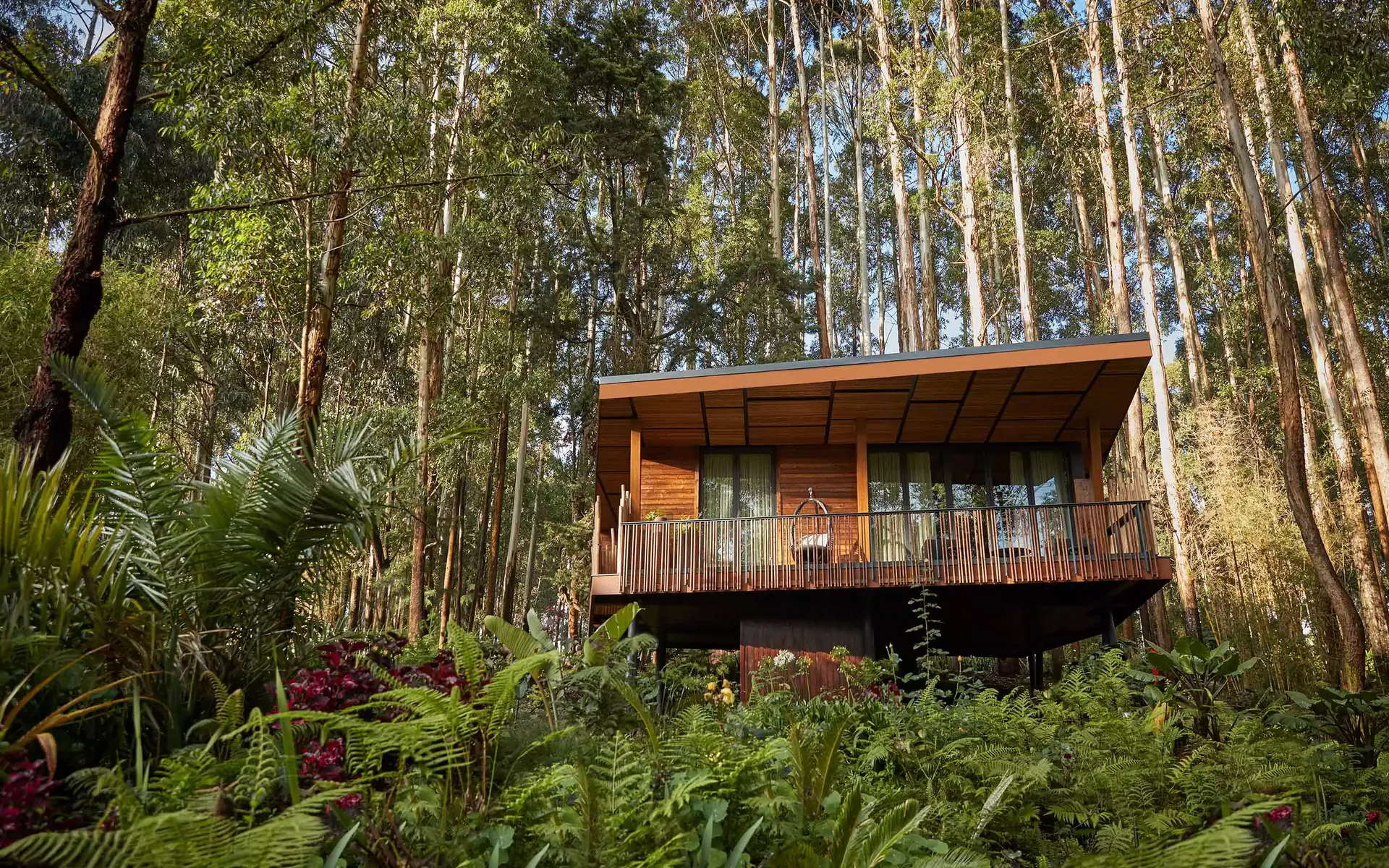 Luxury Lodges & Forest Suites