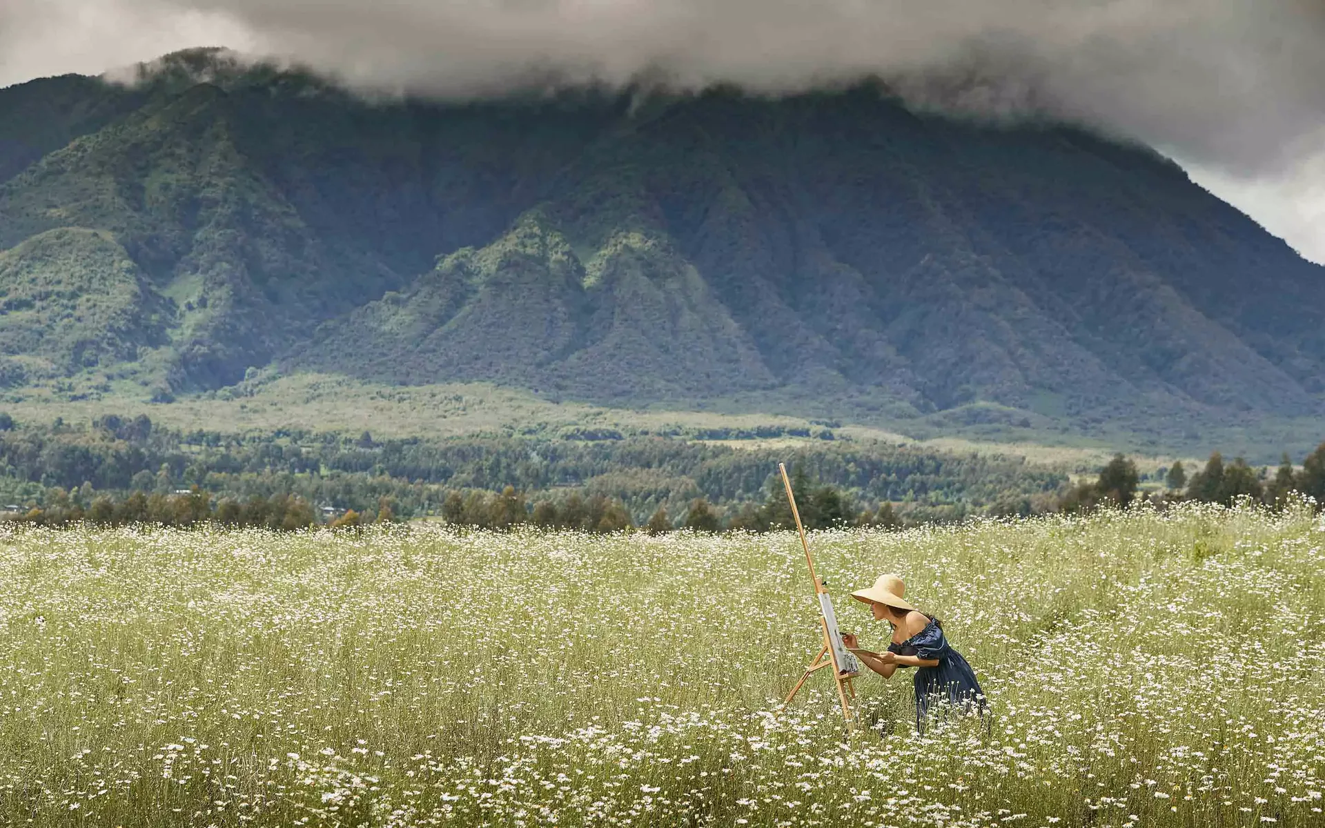 Volcanoes National Park — Rwanda