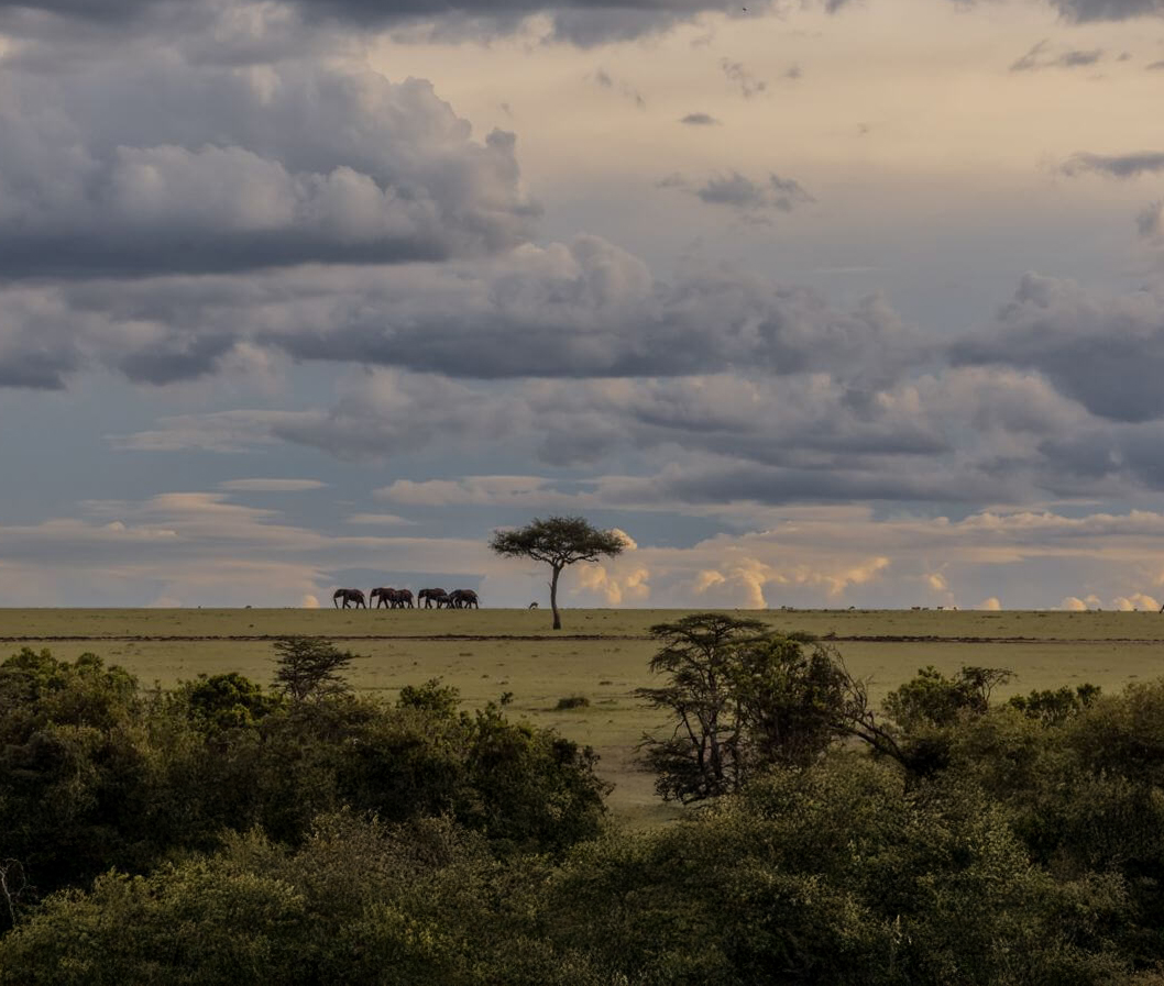 Masai Mara National Reserve