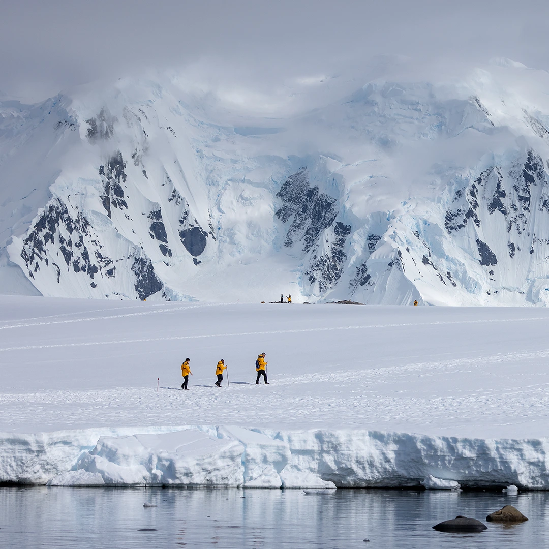Zodiac landing among penguins
