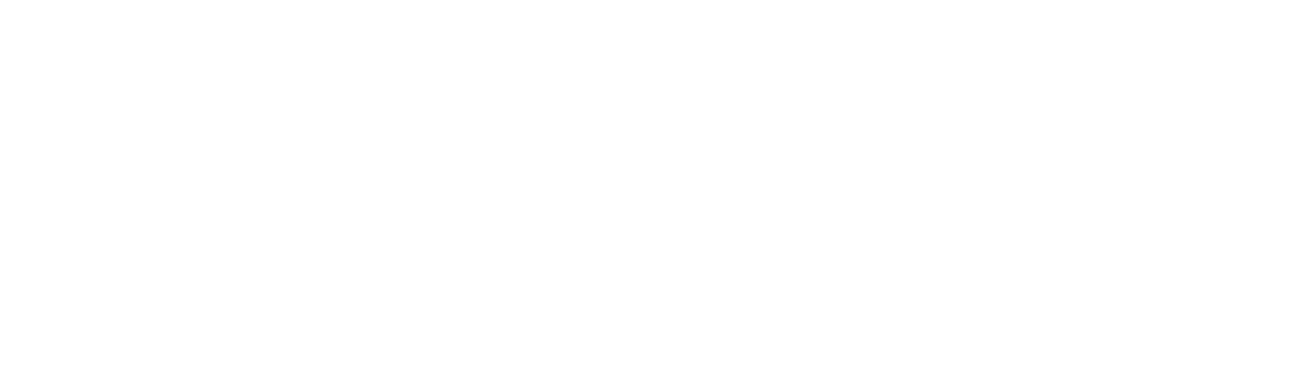 AANA Logo