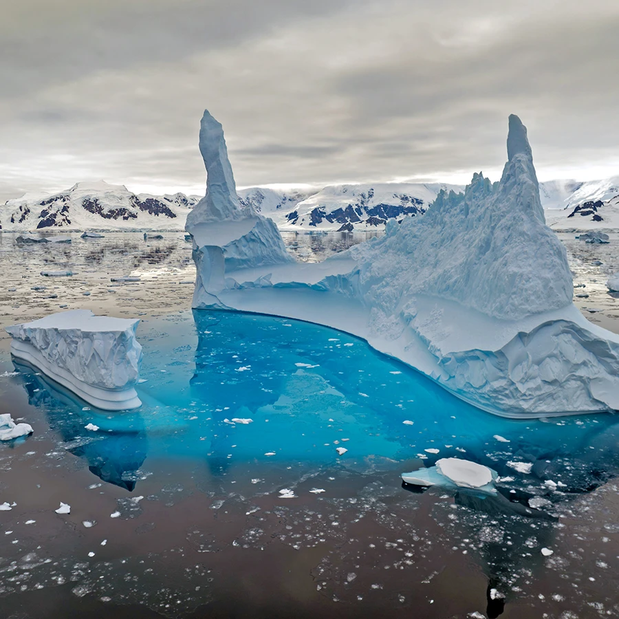 Glaciated bays