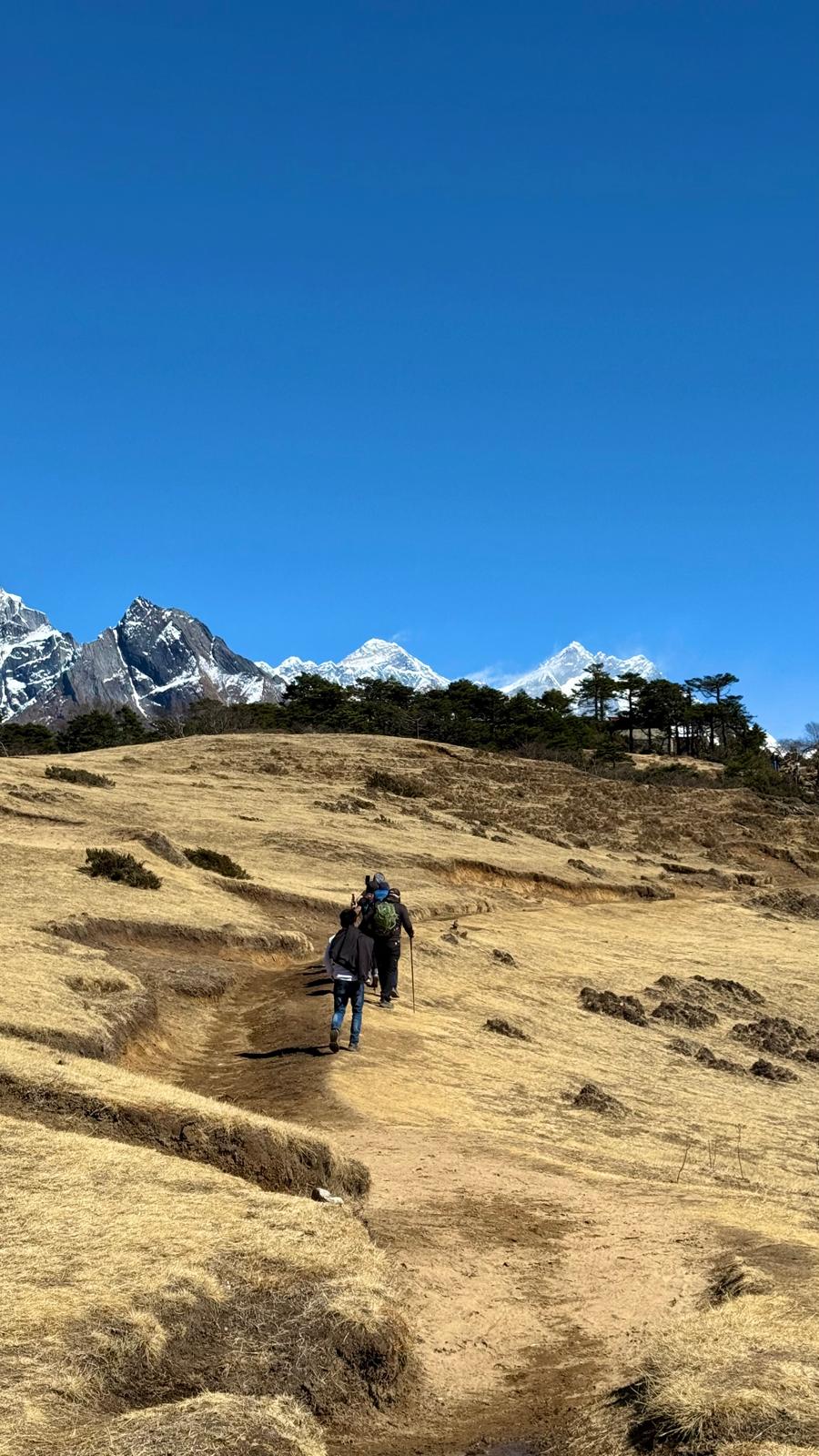 The Trek