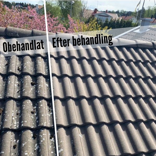 LA Takvård Halland - Taktvätt