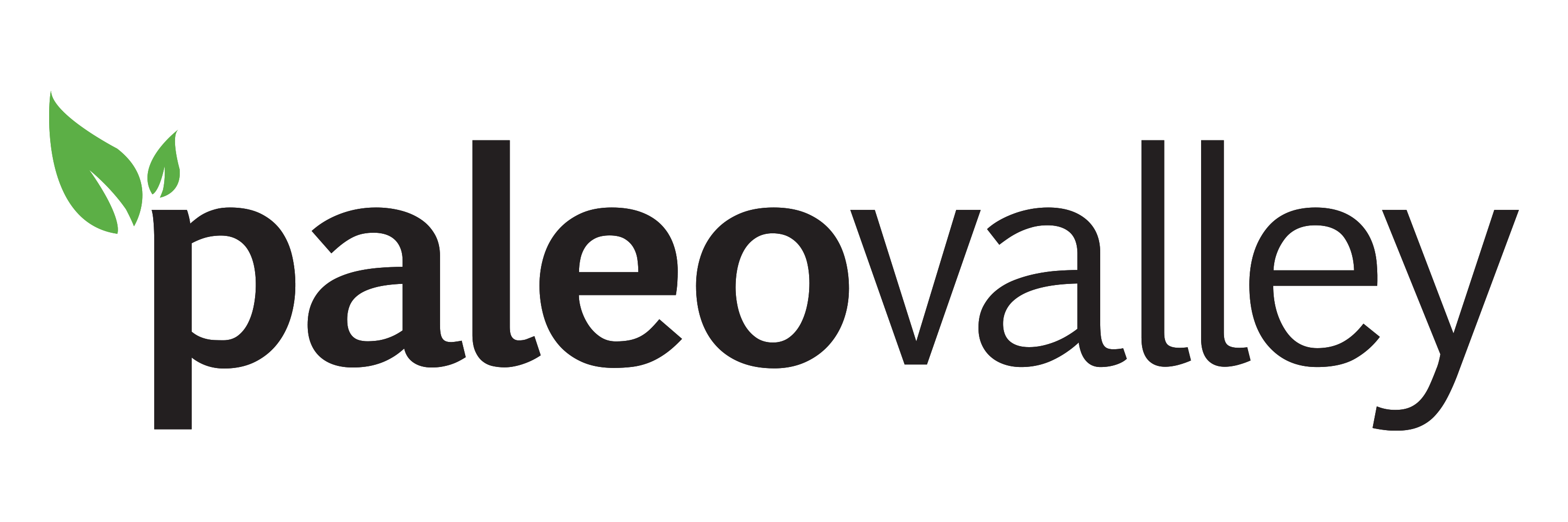Paleovalley