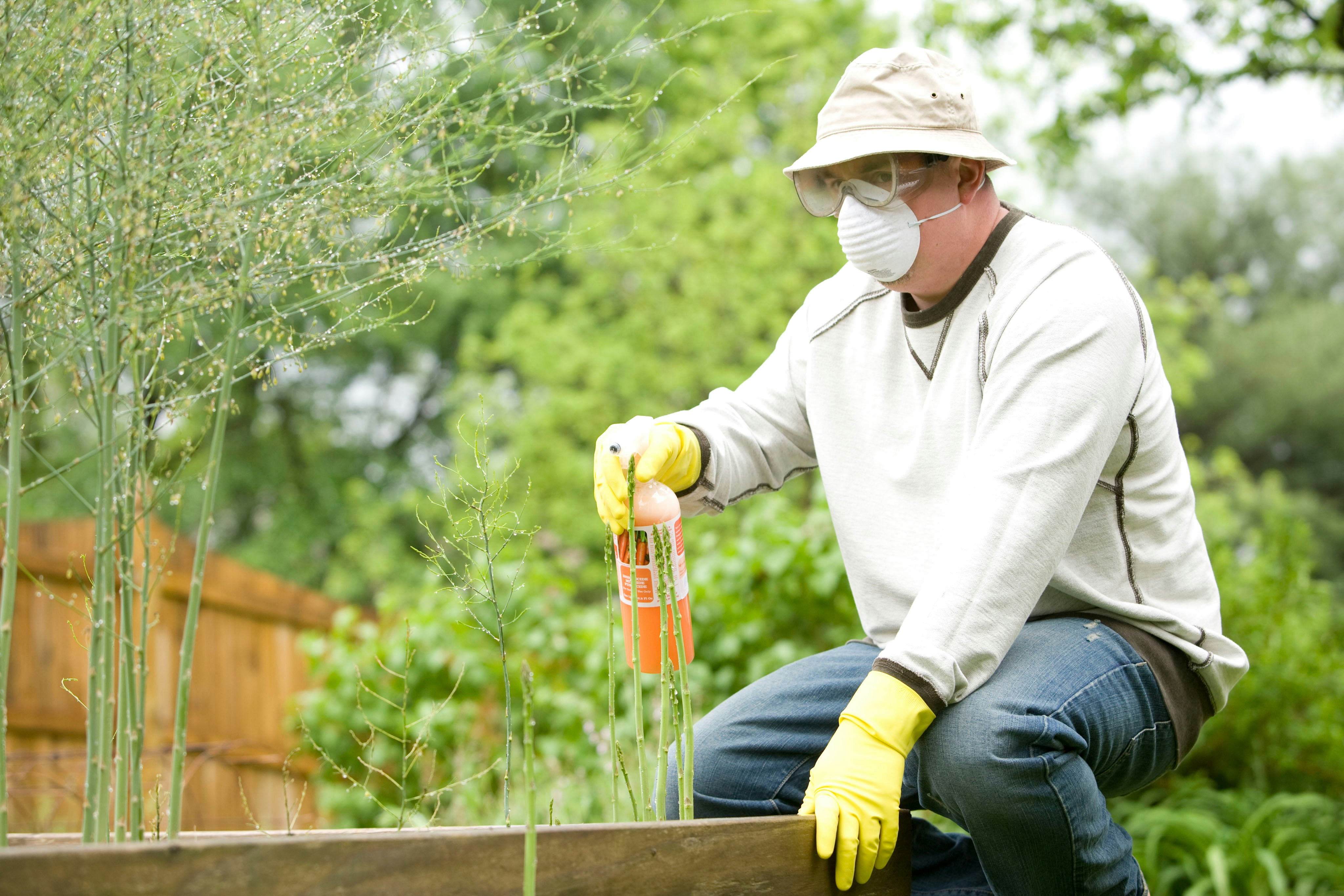 Mosquito Control Houston