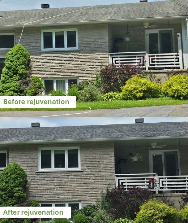 Roof Shield YYC before and after