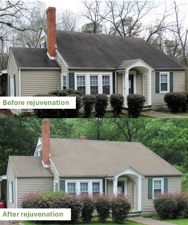 Roofing before and after treatment