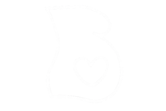 Book A Midwife logo