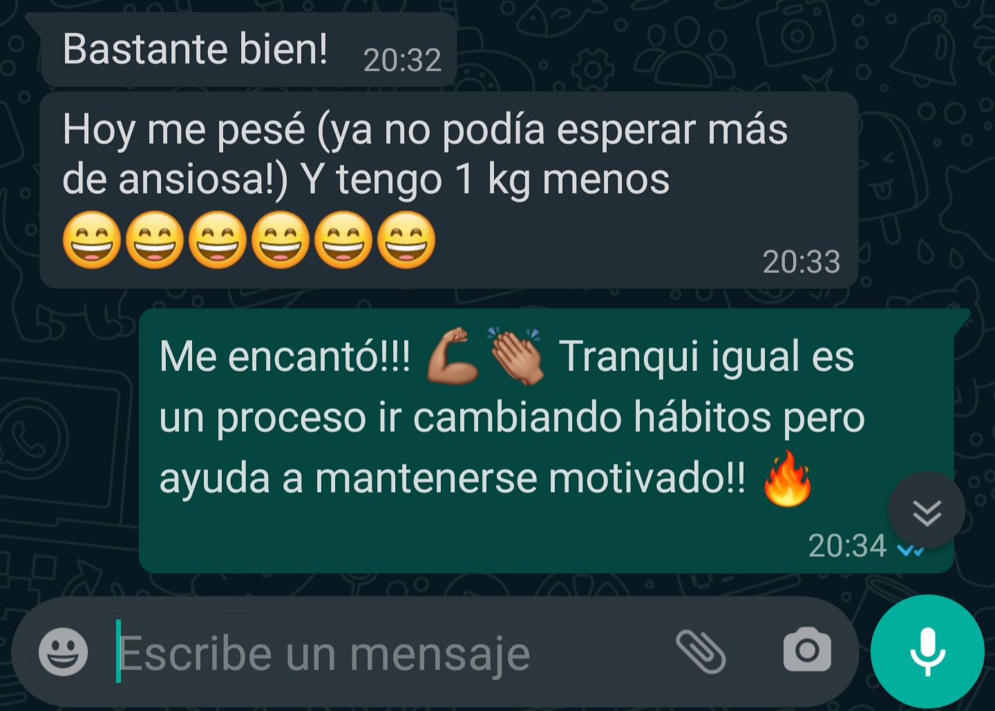 [Captura de Chat de WhatsApp 1]
