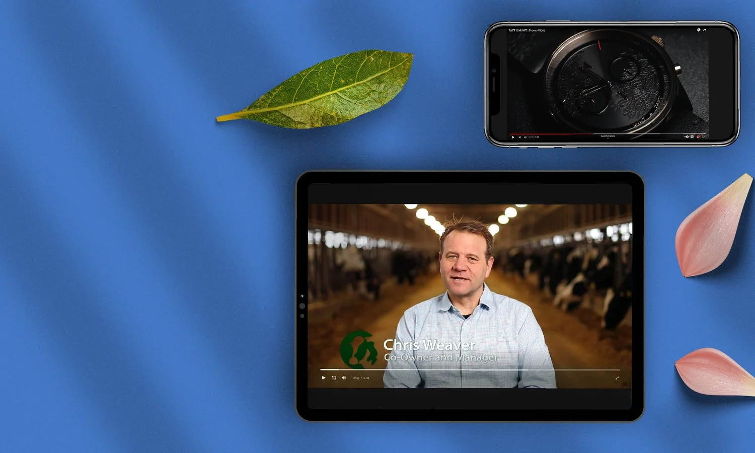 Moonlight video work presented on a tablet and phone, featuring a business interview and product film