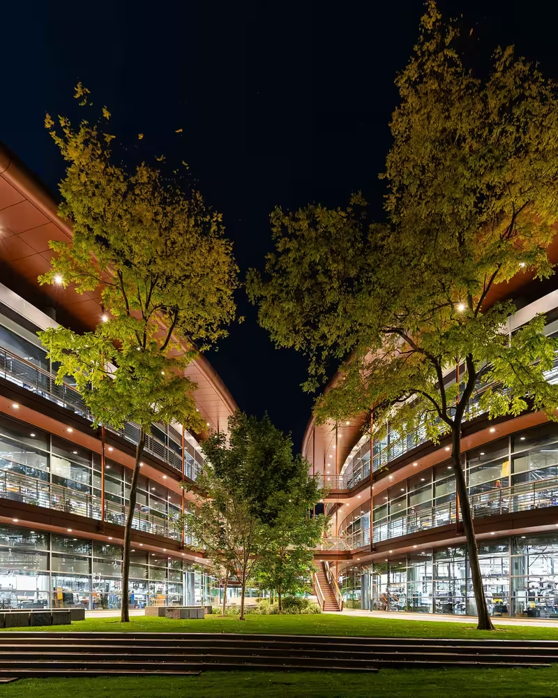 Upward night view through trees toward a lit building courtyard