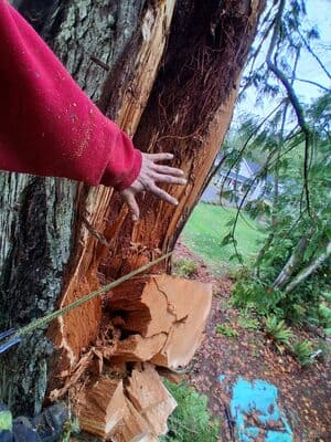  in Kitsap County, WA