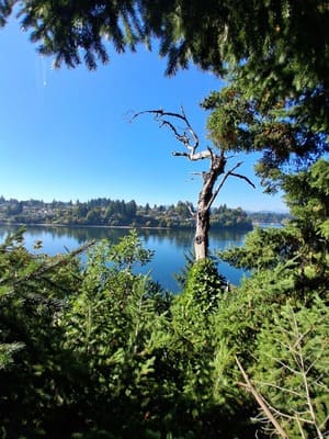  in Jefferson County, WA