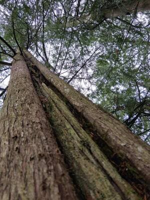  in Jefferson County, WA