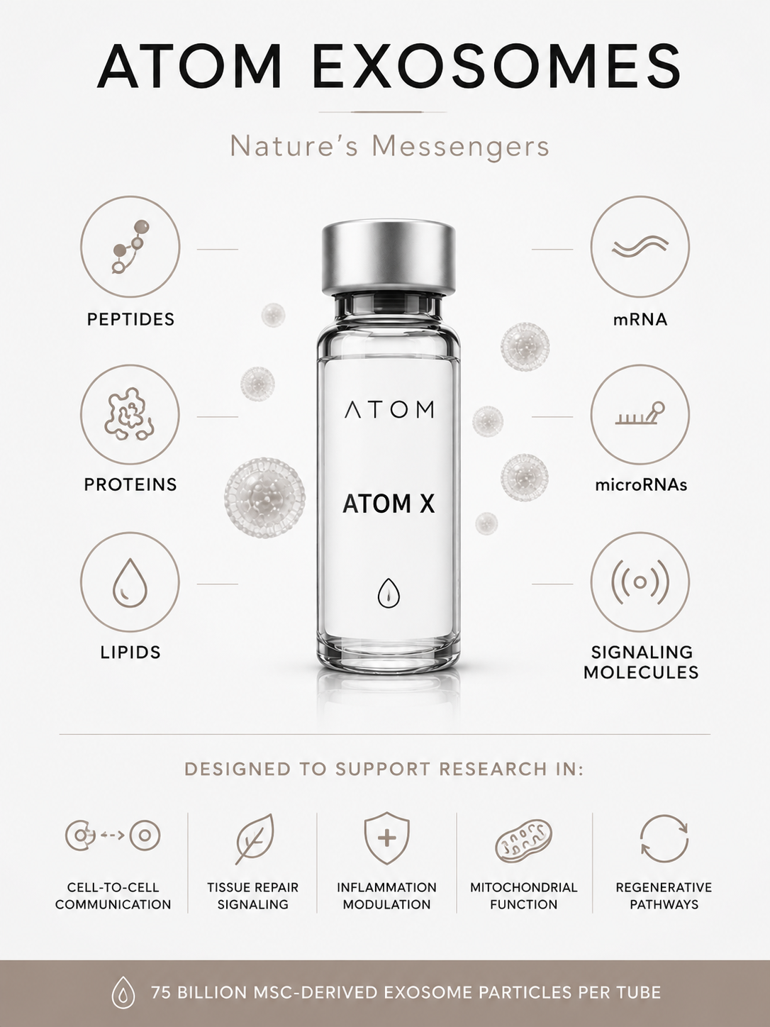 ATOM Exosomes infographic — peptides, proteins, lipids, mRNA, microRNA, signaling molecules in MSC-derived exosome particles.