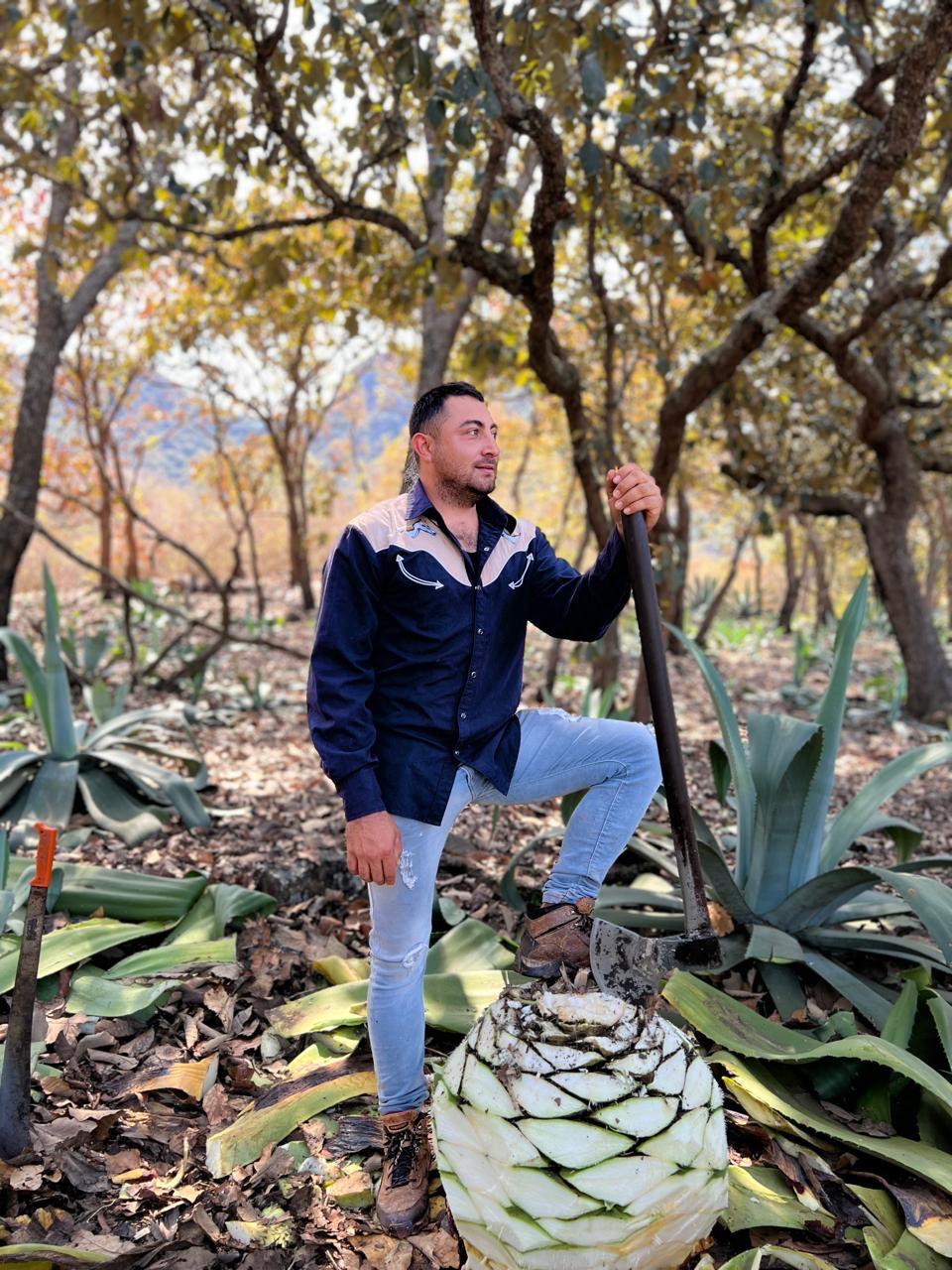 Raicillera vs Raicillería: ¿Cuál es la diferencia y por qué importa?