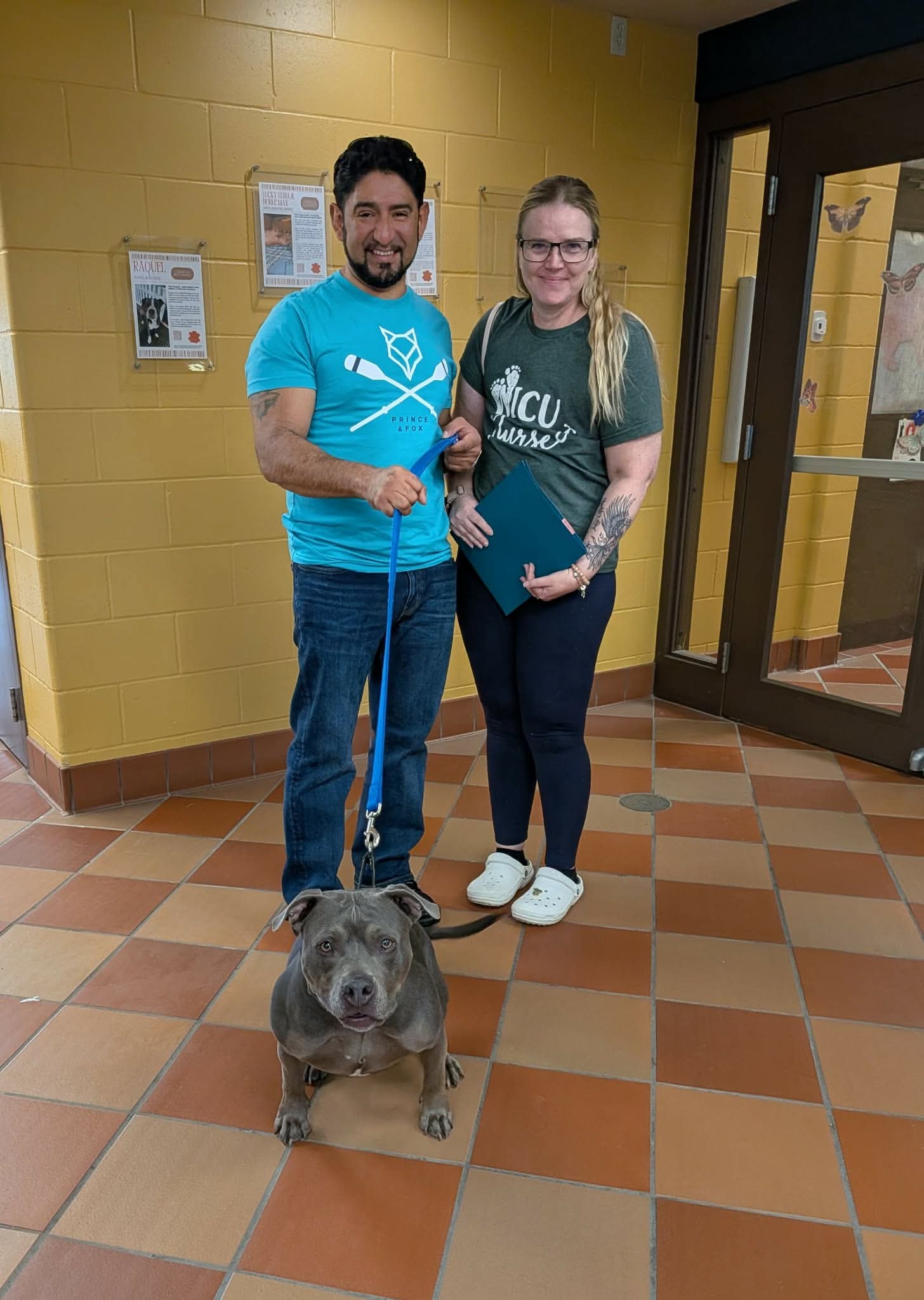 Abigail the Hippo and her new family