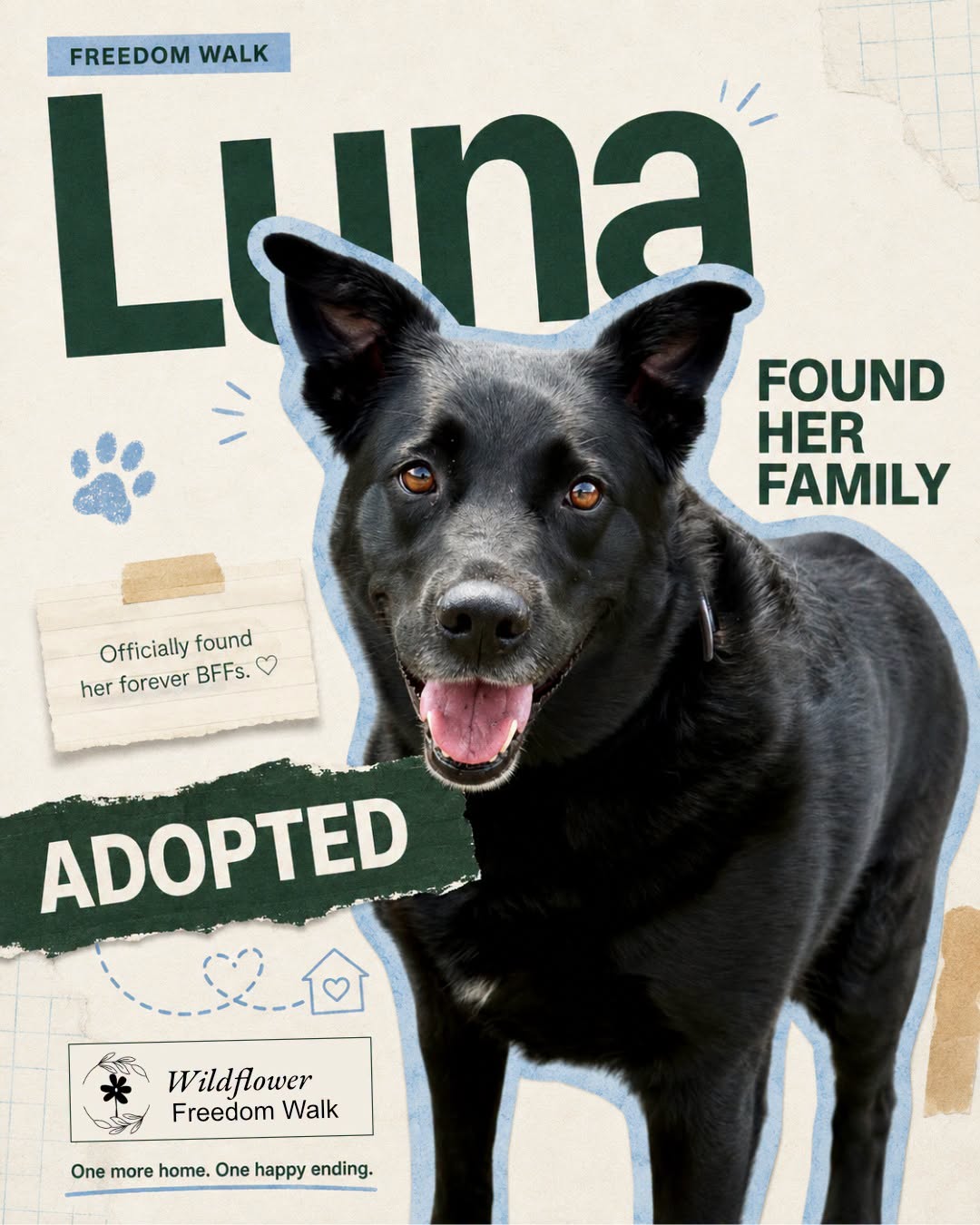 Luna adopted announcement