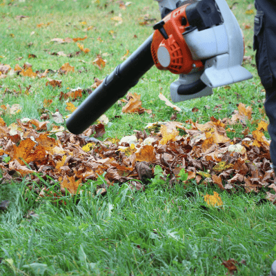 landscaping in Fort Myers