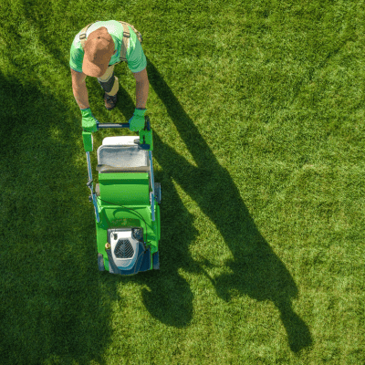 Plant Installation in Fort Myers