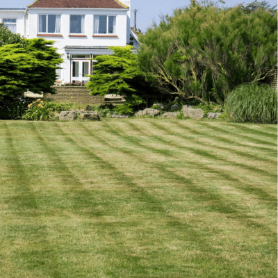 Landscaping in Fort Myers
