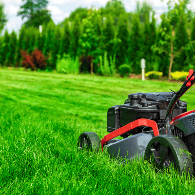 Lawn Maintenance in Buckingham
