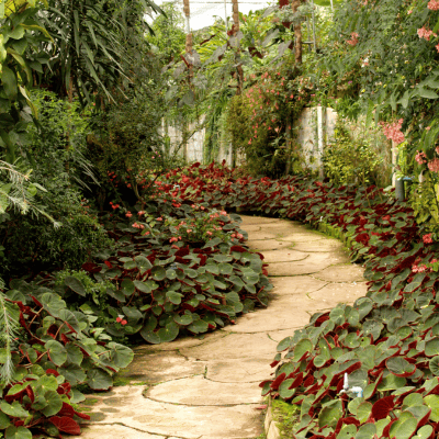 Landscaping in Buckingham