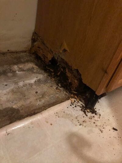 {{ custom_values.service_1 }} in {{custom_values.area_2})