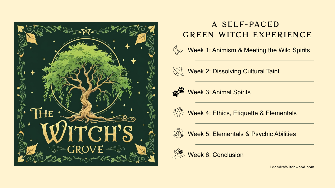 The Witch's Grove