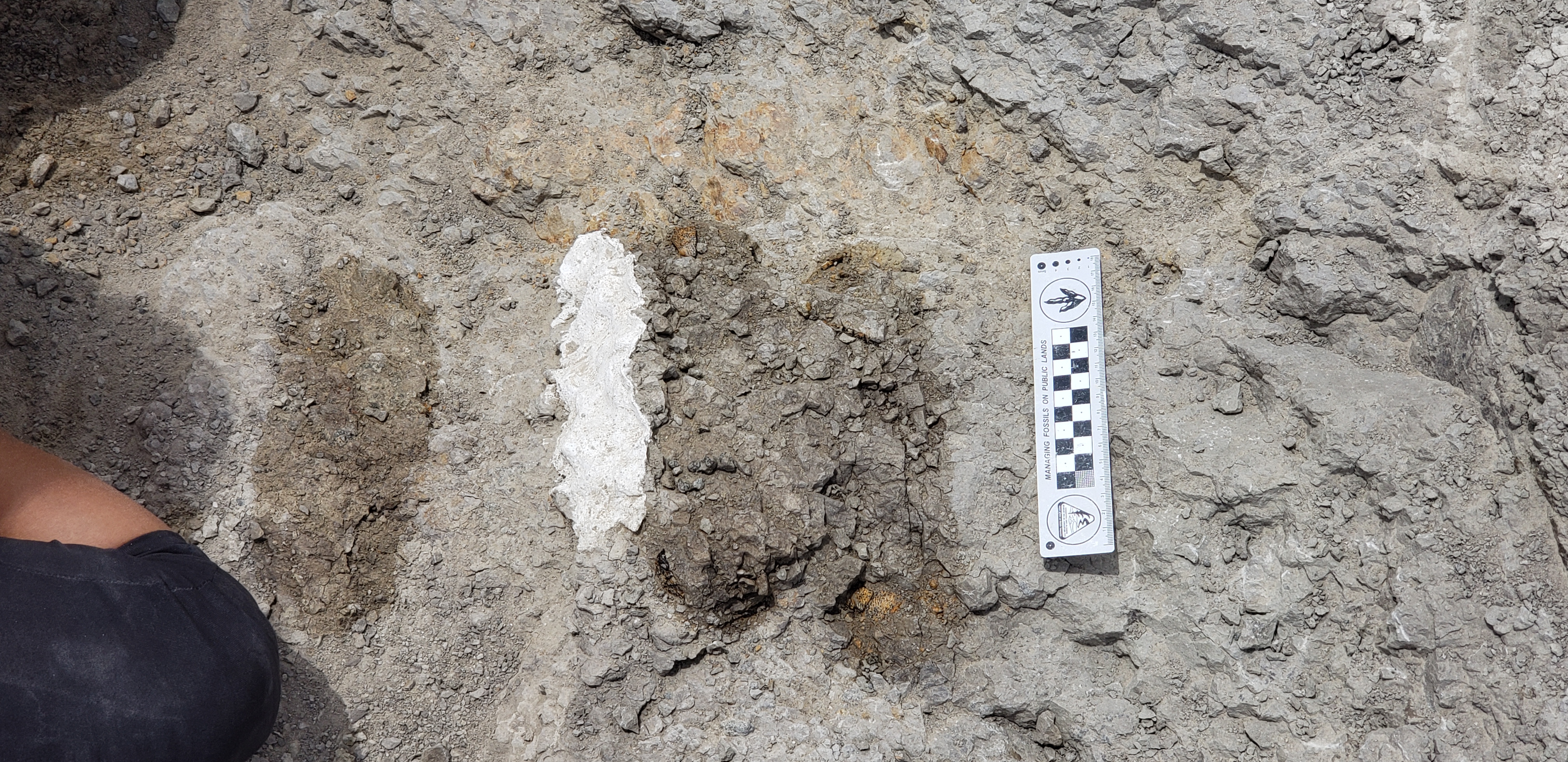 Field excavation.