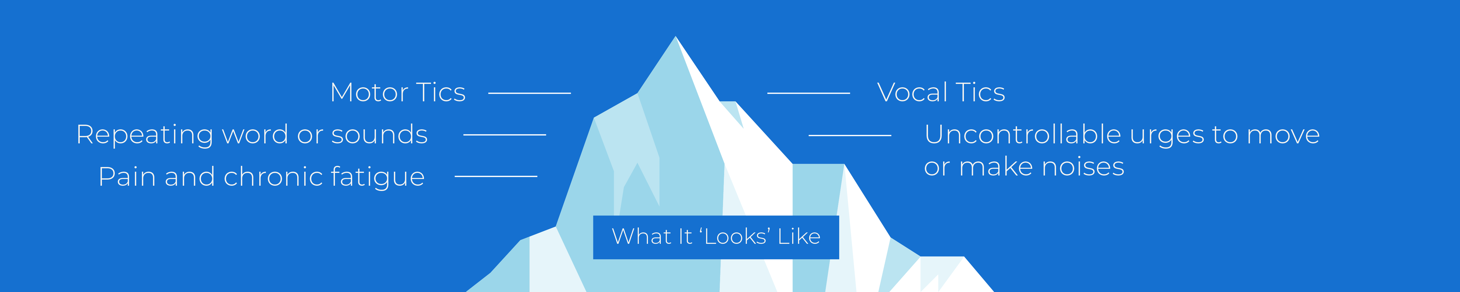 Tourette syndrome Iceberg image what it looks like