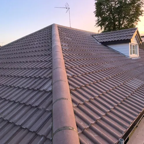 Recent roof project
