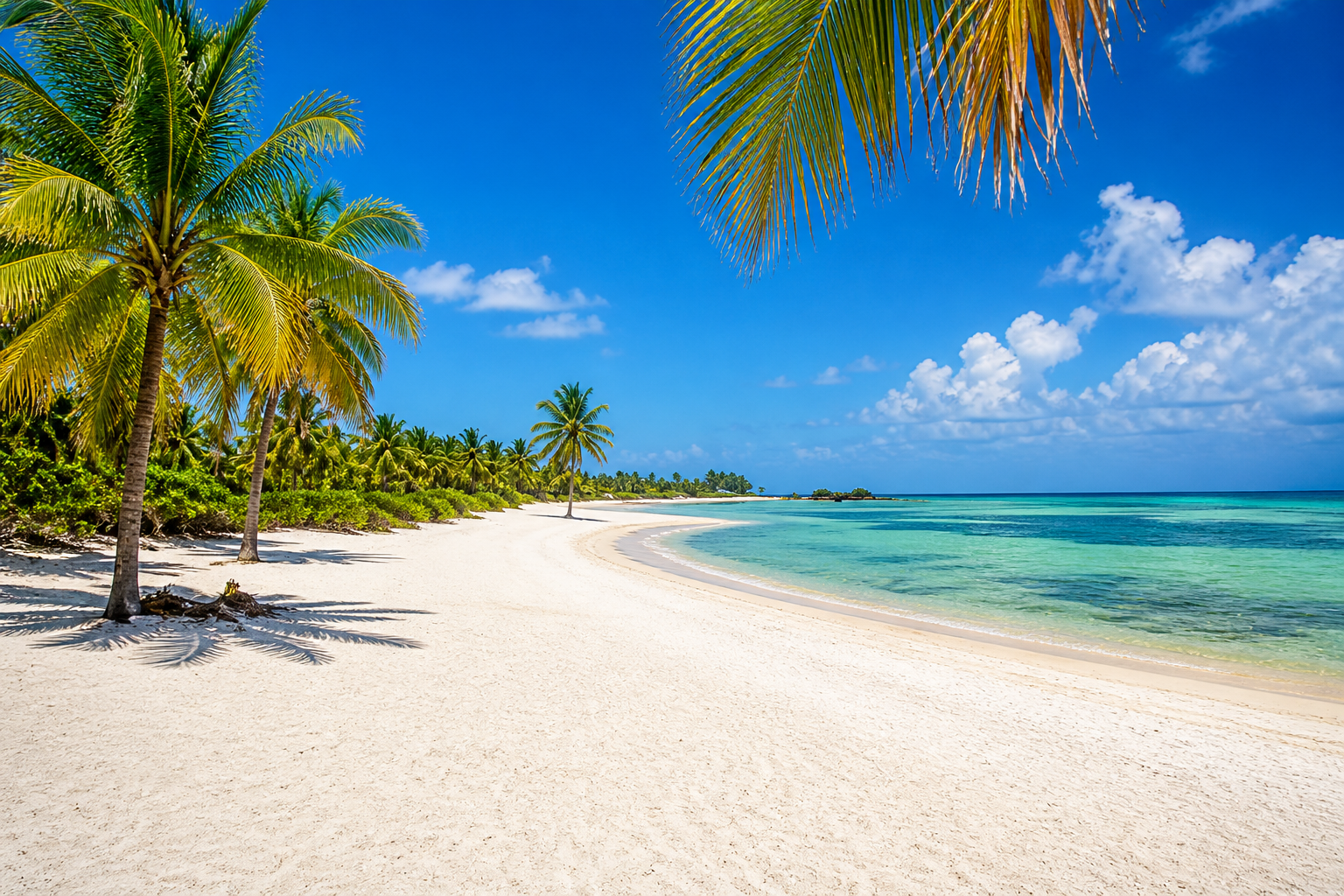 Higgs Beach in Key West