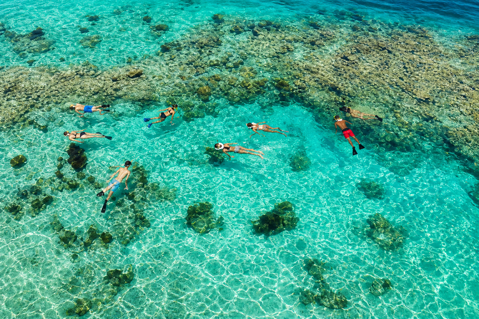 Snorkeling Fort Zachary State Park in Key West Florida