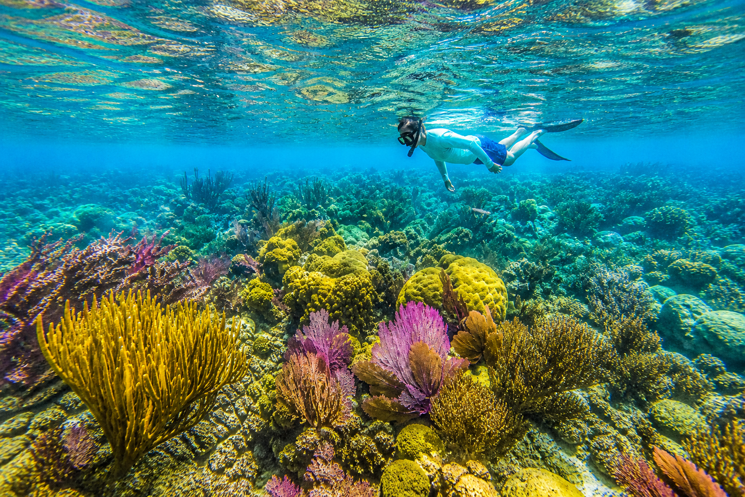 Snorkeling at Dry Tortugas in Key West