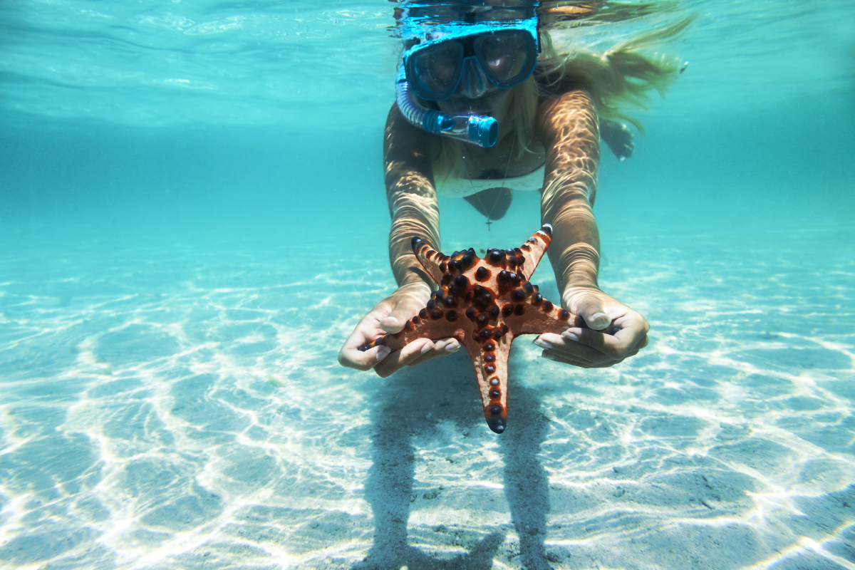 Snorkeling in Key West and found a star fish