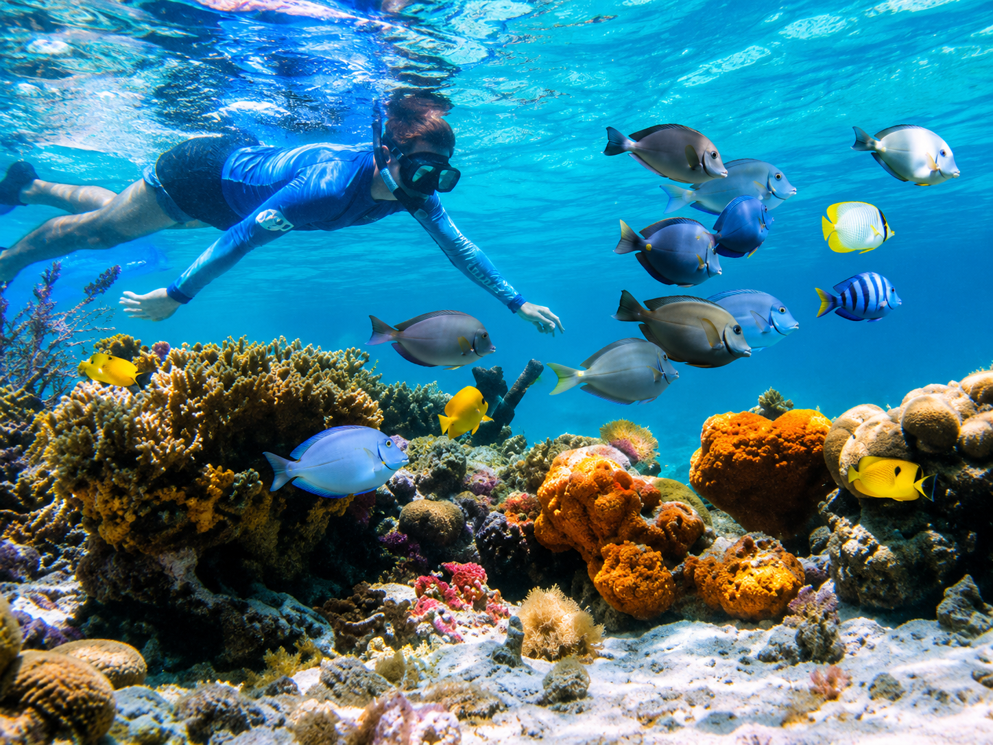Snorkeling with reef fish in a shallow cove in Key West