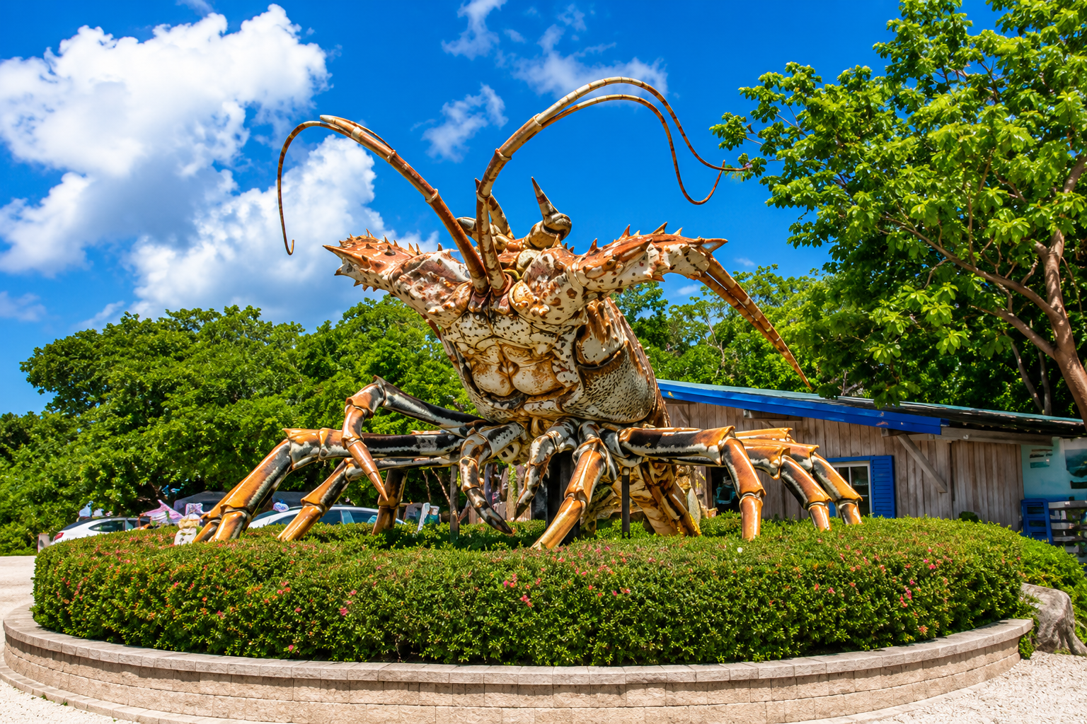 Giant lobster at Rain Barrel in Islamorada 