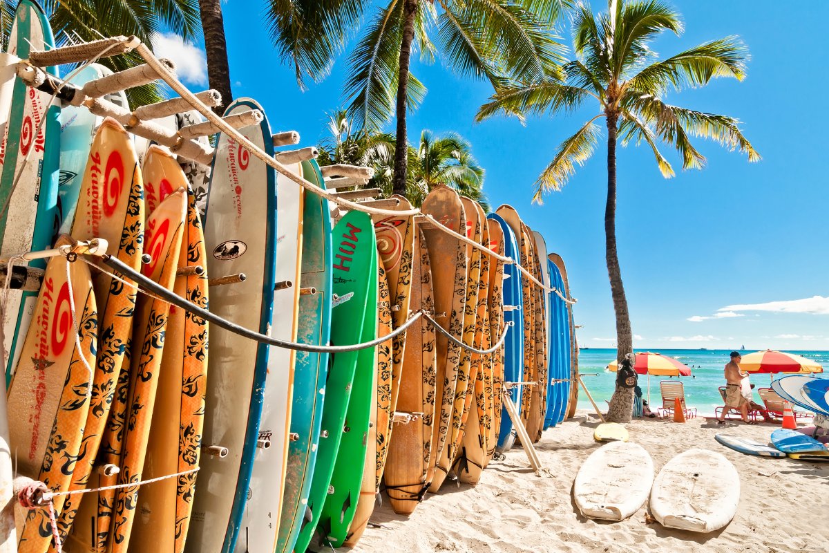 Surf Board rental in Waikiki Beach Surf Board rental in Waikiki Beach