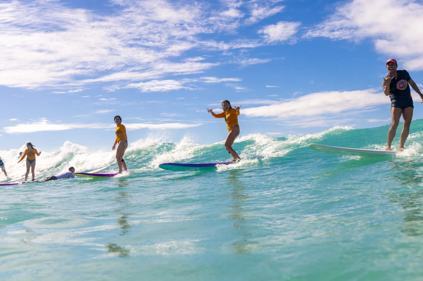 Paddleboard or Surf Rental