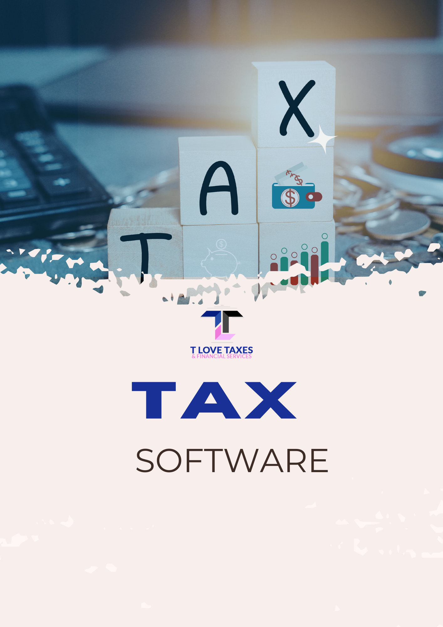 Tax Pro Mentorship Program at T Love Taxes & Financial Services