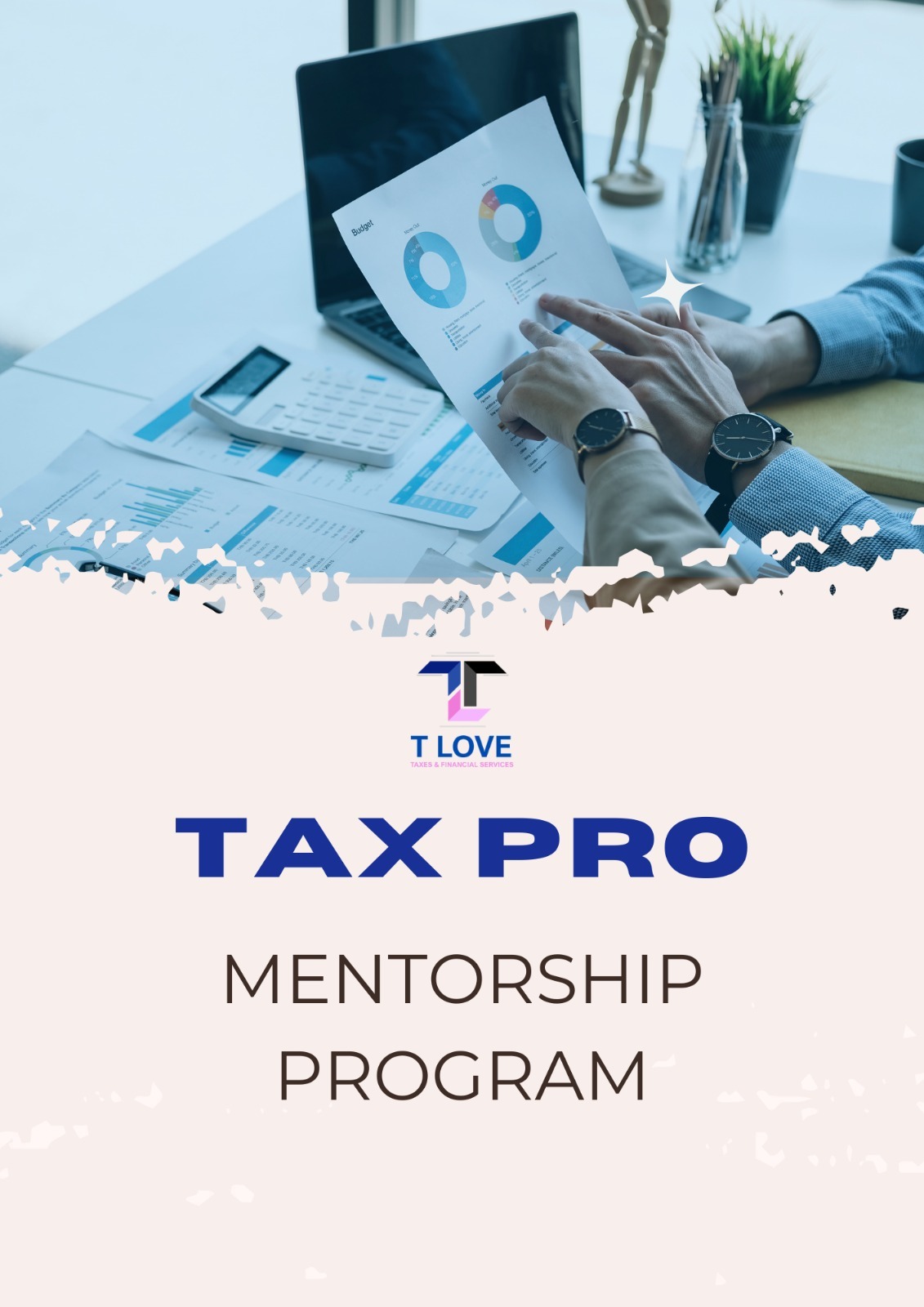 Tax Pro Mentorship Program